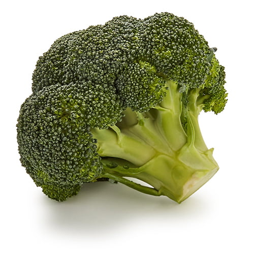 1 Piece of Broccoli