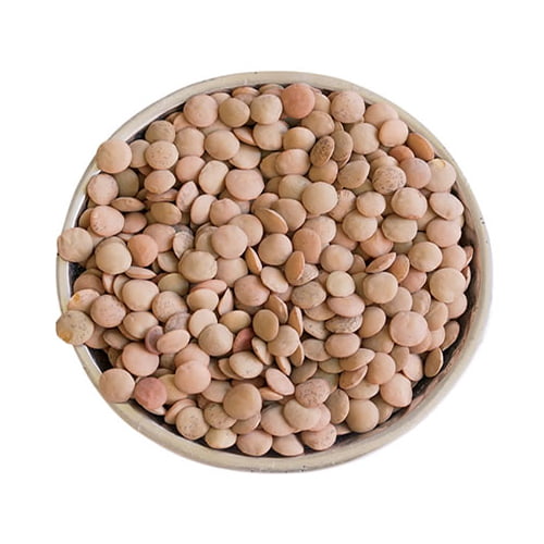 1 KG Lentils beans