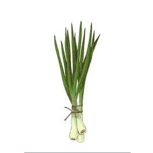 250g of Spring Onions