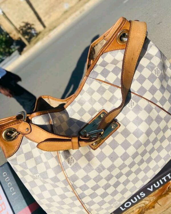 Louise Vuitton handbag