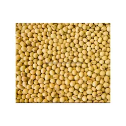 Soy beans food raw ingredient ecological product of Kazakhstan great quality manufacturer prices soy beans in bulk