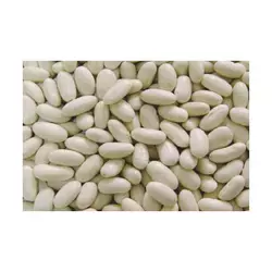 New Popularity Hot Sale Products Price White Kidney Beans