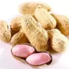 Ground nuts premium quality raw peanuts